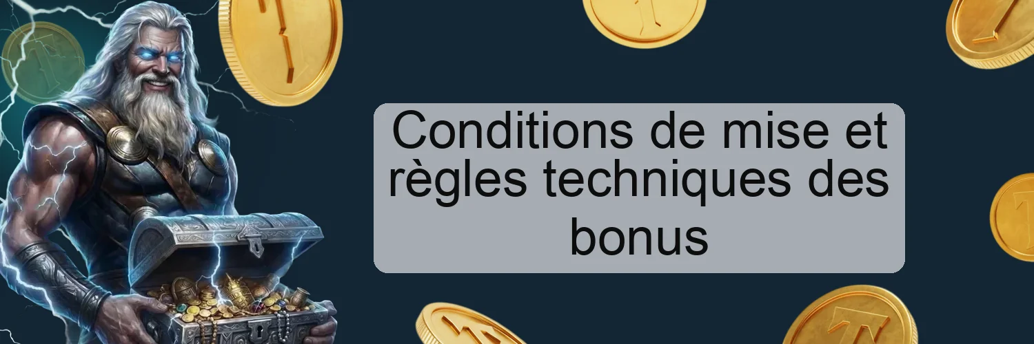 Conditions de mise et règles techniques des bonus